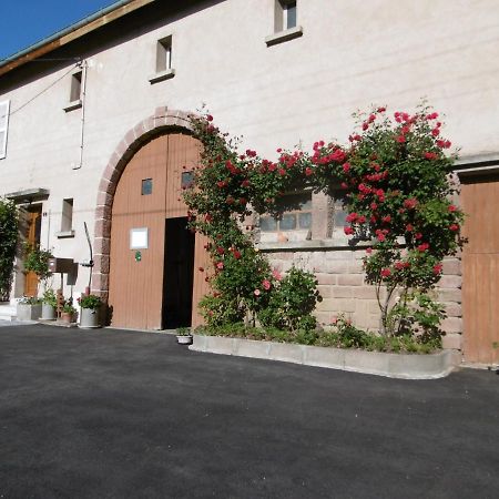 Chez Catherine Et Roger Brouvelieures Экстерьер фото